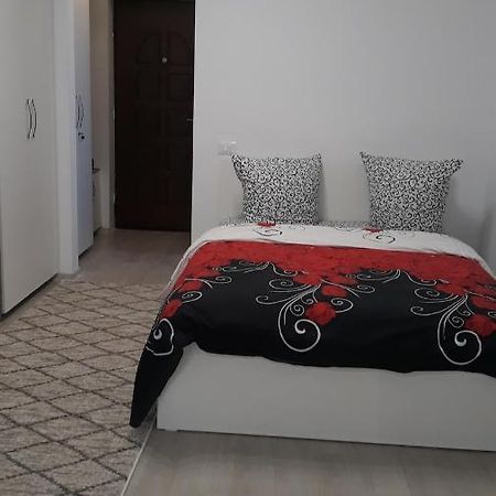 Irvin Apartament Ясси Екстер'єр фото