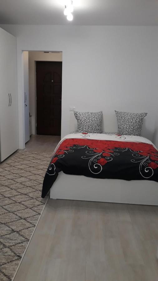 Irvin Apartament Ясси Екстер'єр фото
