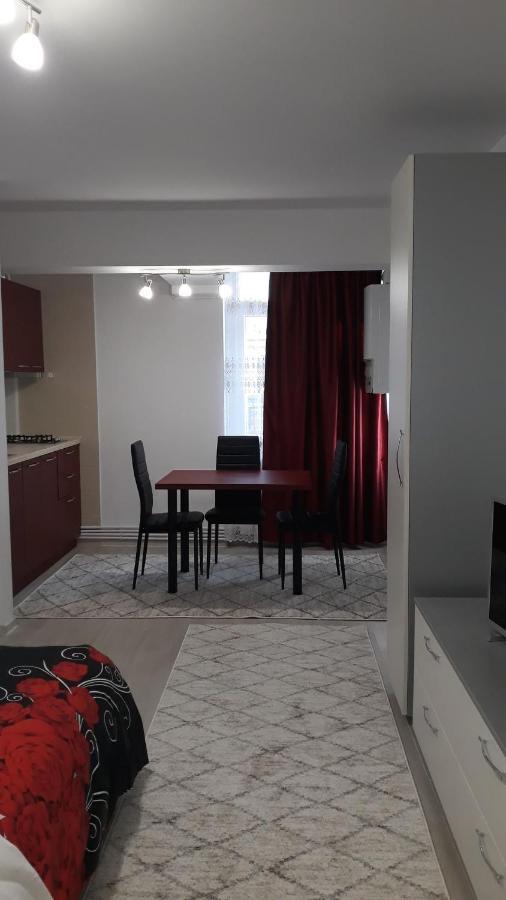Irvin Apartament Ясси Екстер'єр фото